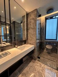 Cuscaden Reserve (D10), Condominium #628718921